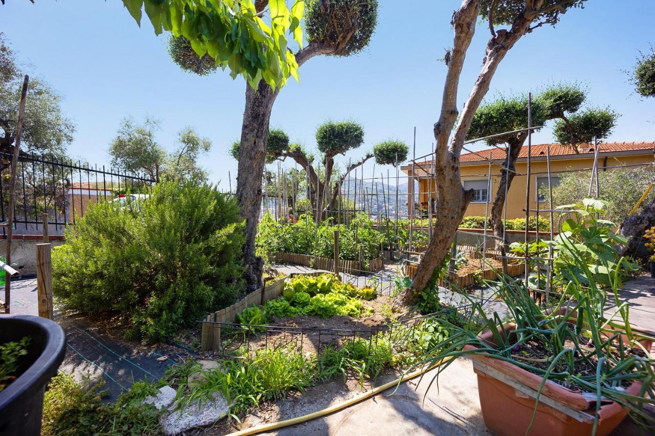 Ca Dei Tati - Citra 1181 Apartamento Imperia Exterior foto